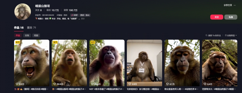 图片[2]-最新爆火的峨眉山猴子短视频制作教程，条条点赞10w+，谁做谁火【教程+提示词】-知创网