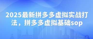 2025最新拼多多虚拟实战打法,拼多多虚拟基础sop-知创网