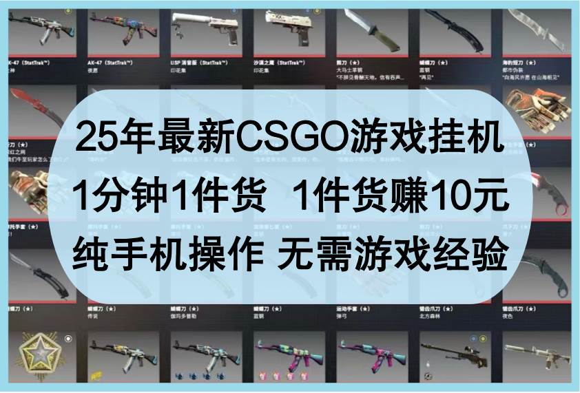 25年最新CSGO游戏挂机，1分钟1件货，1件货赚10元，纯手机操作，无需游戏经验-知创网