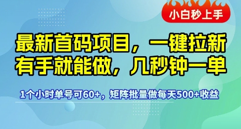 最新首码项目，一键拉新有手就能做，几秒钟一单，1个小时单号可60+，矩阵批量做每天5张【揭秘】-知创网