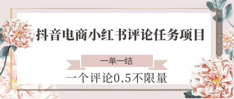 抖音电商小红书评论任务项目，一个评论0.5，一单一结 不限量-知创网