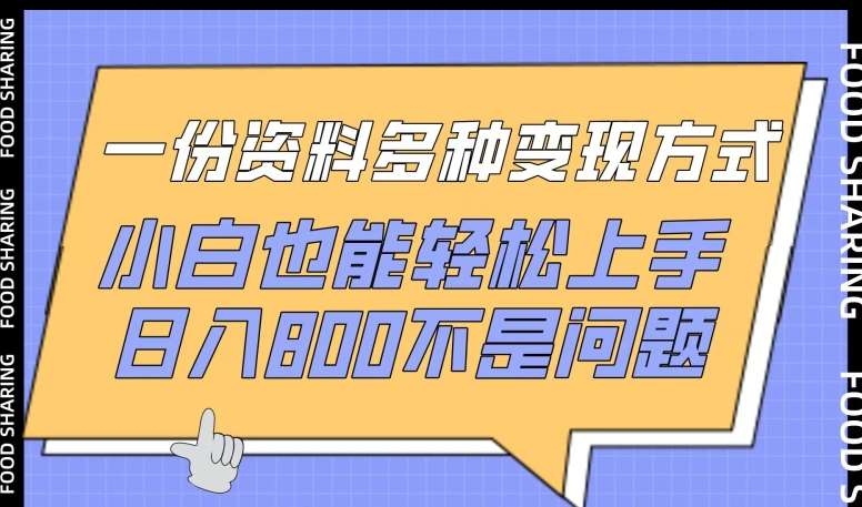 一份资料多种变现方式，小白也能轻松上手，日入800不是问题【揭秘】-知创网
