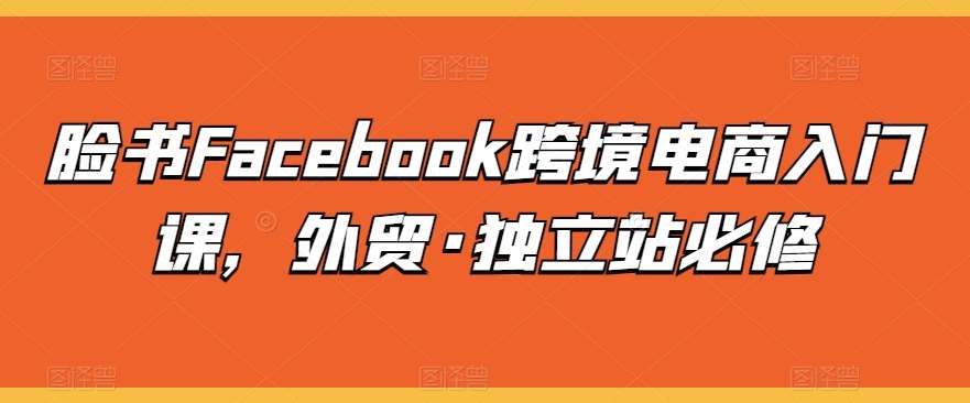 脸书Facebook跨境电商入门课，外贸·独立站必修-知创网