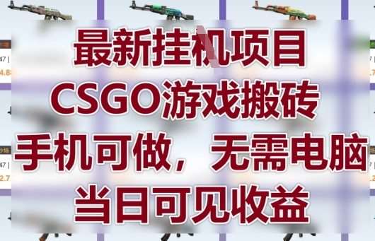 最新挂G项目，CSGO游戏搬砖，手机可做，无需电脑，当日见收益【揭秘】-知创网