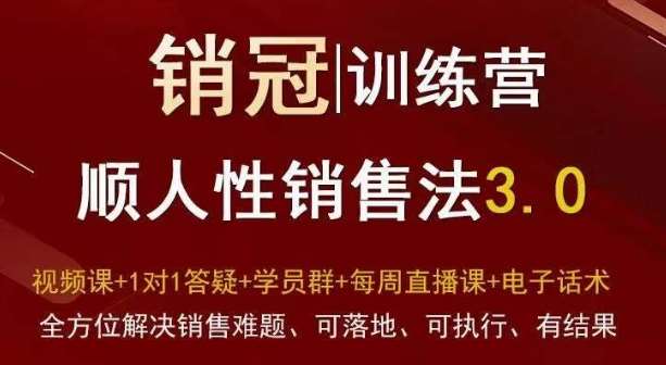 爆款！销冠训练营3.0之顺人性销售法，全方位解决销售难题、可落地、可执行、有结果-知创网