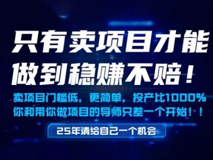 只有卖项目才能做到稳挣不赔，门槛低，更简单，你也可以年入百个W【揭秘】-知创网