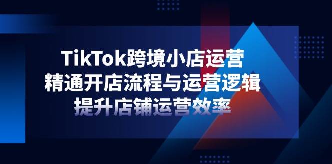 （14369期）TikTok跨境小店运营，精通开店流程与运营逻辑，提升店铺运营效率-知创网