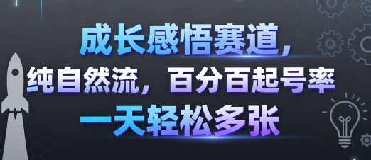 成长感悟赛道，纯自然流，百分百起号率 一天轻松多张-知创网
