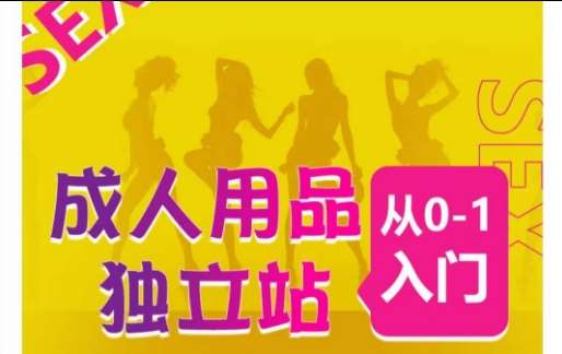 成人用品独立站从0-1入门，成品独立站运营全流程教学，七大好卖成品独立站推荐-知创网