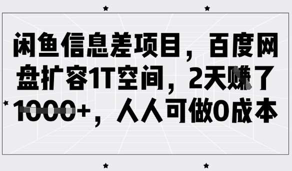 闲鱼信息差项目，百度网盘扩容1T空间，2天收益1k+，人人可做0成本-知创网