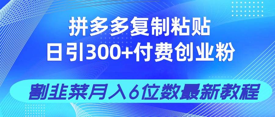 （14232期）拼多多复制粘贴日引300+付费创业粉，割韭菜月入6位数最新教程！-知创网