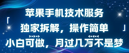 苹果手机技术服务，独家拆解，操作简单，小白可做，月过1W不是梦-知创网