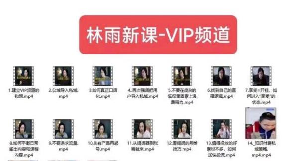 林雨新课VIP频道，玩赚私域/朋友圈/社群-知创网
