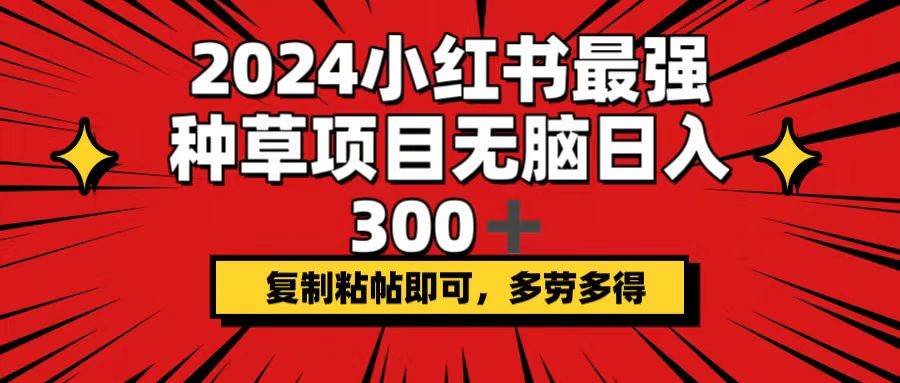 （12336期）2024小红书最强种草项目，无脑日入300+，复制粘帖即可，多劳多得-知创网
