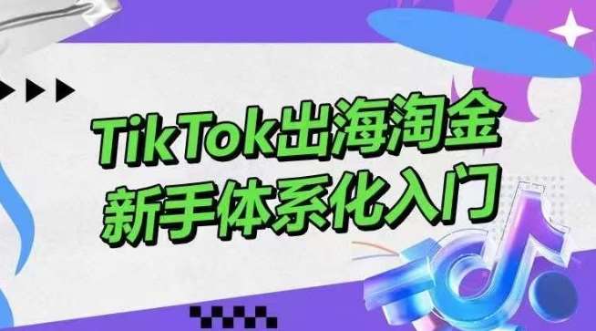 TikTok出海淘金,新手体系化入门,零基础快速入门,掌握短视频、直播带货等引流到变现的知识-知创网