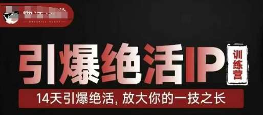引爆绝活IP训练营，14天引爆绝活，放大你的一技之长-知创网