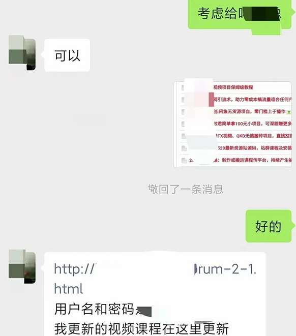 图片[2]-小彬网虚拟资源网站培训课程，如何一个月快速做出盈利的资源网站（实打实经验）-知创网