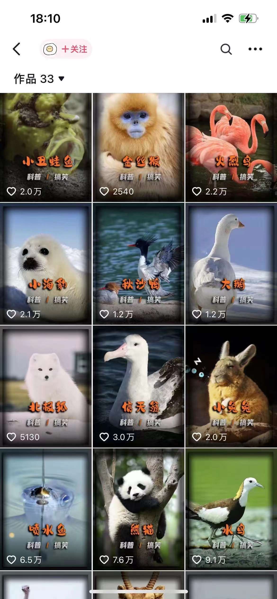 图片[2]-动物科普解说项目，撸创作者伙伴计划收益，保姆级实战教程-知创网