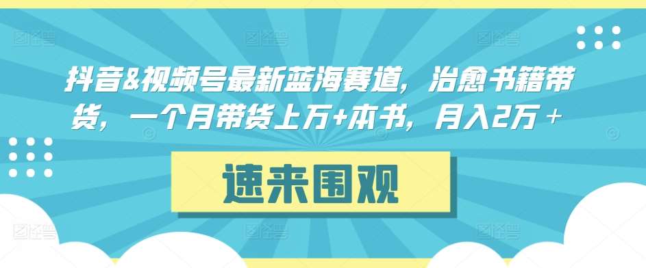 抖音&视频号最新蓝海赛道，治愈书籍带货，一个月带货上万+本书，月入2万＋【揭秘】-知创网