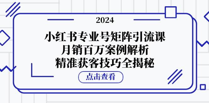 小红书专业号矩阵引流课，月销百万案例解析，精准获客技巧全揭秘-知创网