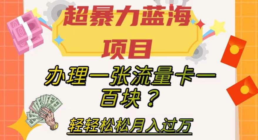 超暴力蓝海项目，办理一张流量卡一百块？轻轻松松月入过万，保姆级教程【揭秘】-知创网