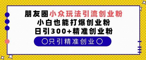 朋友圈小众玩法引流创业粉，小白也能打爆创业粉，日引300+精准创业粉【揭秘】-知创网