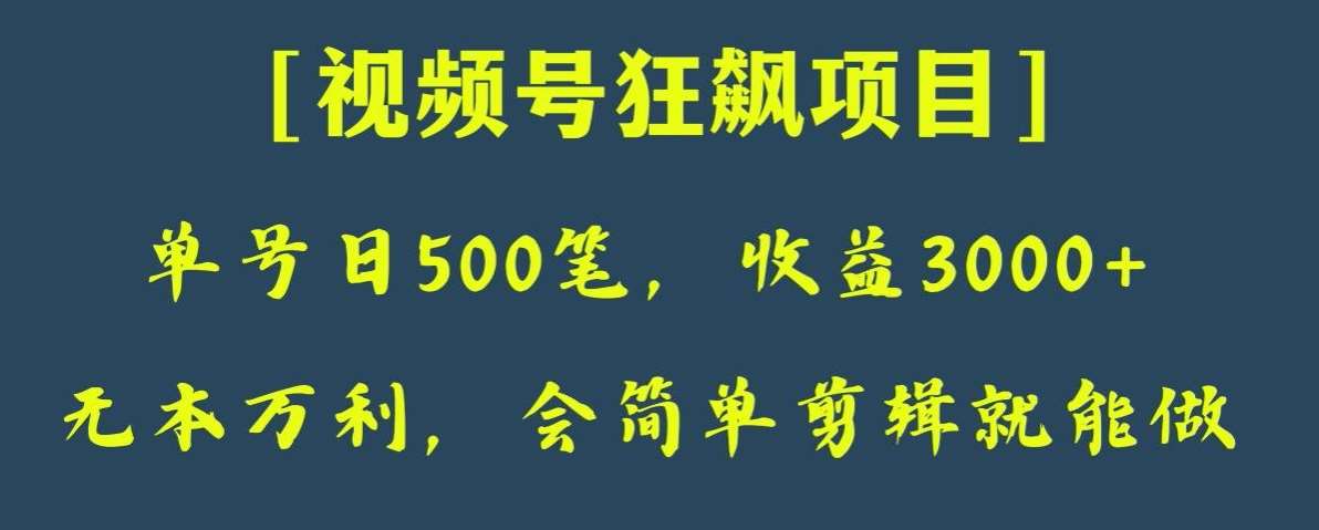 日收款500笔，纯利润3000+，视频号狂飙项目，会简单剪辑就能做【揭秘】-知创网