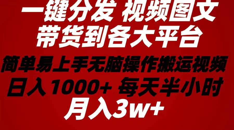 (10667期)2024年 一键分发带货图文视频 简单易上手 无脑赚收益 每天半小时日入1...-知创网