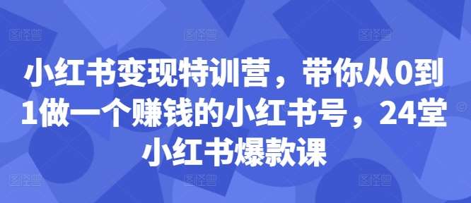 小红书变现特训营，带你从0到1做一个赚钱的小红书号，24堂小红书爆款课-知创网