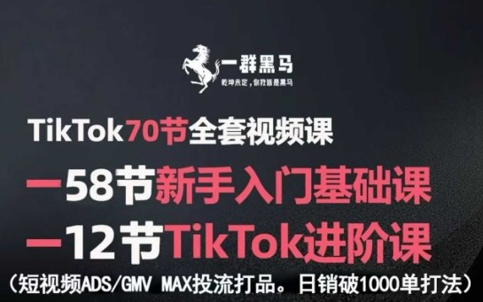 TikTok全套视频课，新手入门+进阶课，短视频ADS-GMV MAX投流打品，日销破1000单打法-知创网