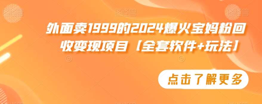 外面卖1999的2024爆火宝妈粉回收变现项目【全套软件+玩法】【揭秘】-知创网