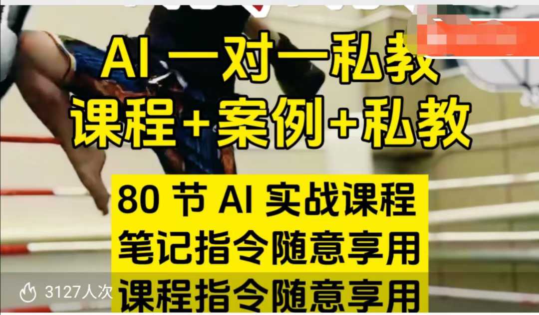 AI指令实战课，课程+案例，80节AI实战课程，笔记指令随意享用，课程指令随意享用（更新7月）-知创网