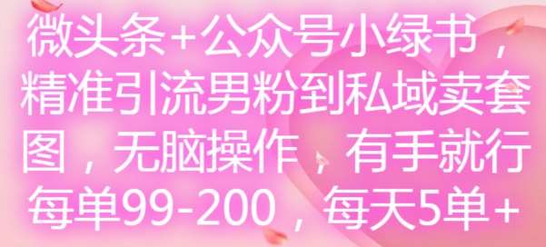 微头条+公众号小绿书，精准引流男粉到私域卖套图，无脑操作，有手就行，每单99-200，每天5单-知创网