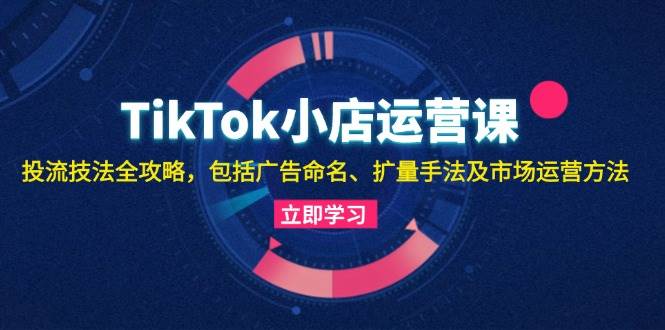 （13063期）TikTok小店运营课：投流技法全攻略，包括广告命名 扩量手法及市场运营方法-知创网