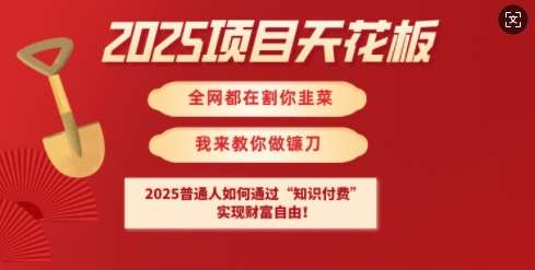2025项目天花板普通人如何通过知识付费,实现财F自由【揭秘】-知创网