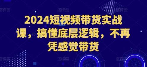2024短视频带货实战课，搞懂底层逻辑，不再凭感觉带货-知创网