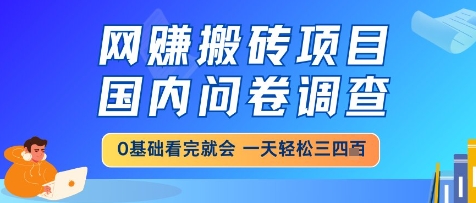 网创搬砖项目，国内问卷调查，小白轻松上手，一天三四张的也不难，干就完了【揭秘】-知创网