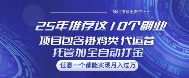 25年推荐这10个副业项目包含褂鸡类、代运营托管类、全自动打金类【揭秘】-知创网