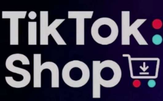 TikTokShop跨境电商0-1实战，手把手教你低成本启动海外市场（更新）-知创网