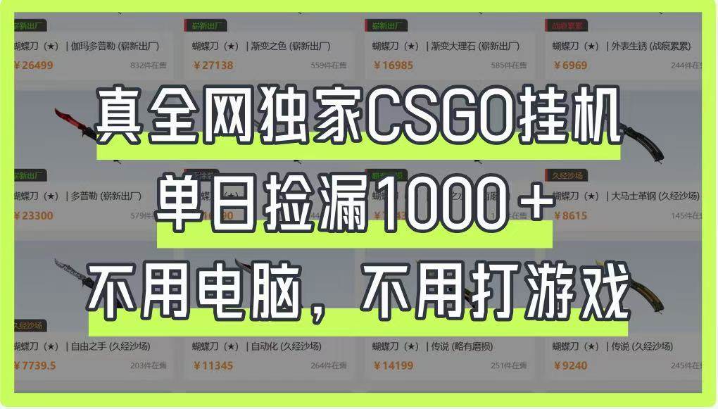 真全网独家CSGO挂机,单日捡漏1000+,不用电脑,不用养号-知创网