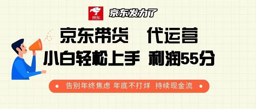 (13833期)京东带货 代运营 利润55分 告别年终焦虑 年底不打烊 持续现金流-知创网