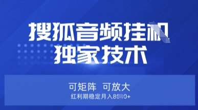 【搜狐音频挂G】独家技术，可矩阵可放大，红利期稳定月入8k【揭秘】-知创网