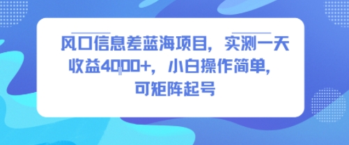 风口信息差蓝海项目,实测一天收益4k+,小白操作简单,可矩阵起号-知创网