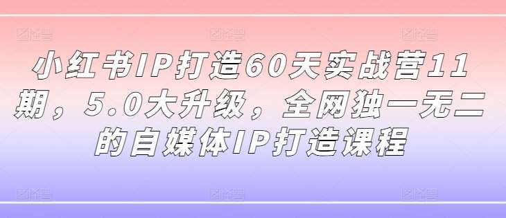 小红书IP打造60天实战营11期,5.0大升级,全网独一无二的自媒体IP打造课程-知创网