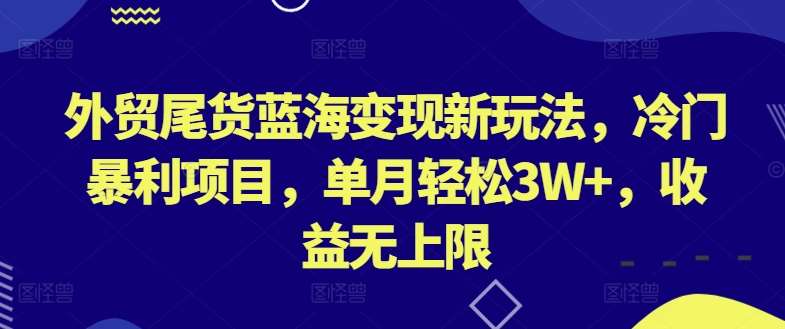 外贸尾货蓝海变现新玩法，冷门暴利项目，单月轻松3W+，收益无上限【揭秘】-知创网