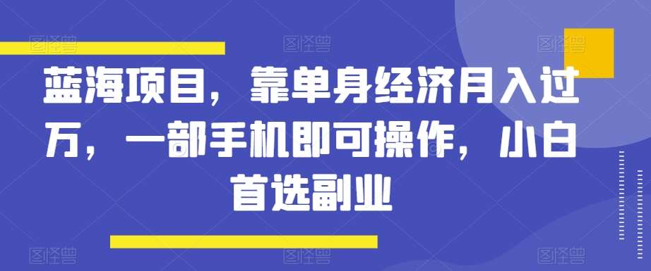 蓝海项目，靠单身经济月入过万，一部手机即可操作，小白首选副业【揭秘】-知创网