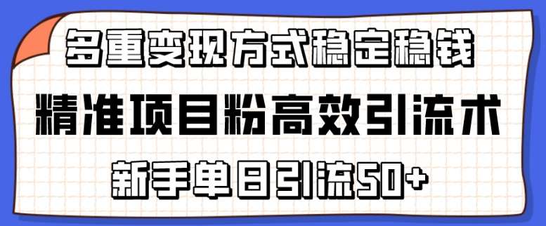 精准项目粉高效引流术,新手单日引流50+,多重变现方式稳定赚钱【揭秘】-知创网