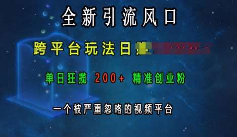 全新引流风口，跨平台玩法日入上k，单日狂揽200+精准创业粉，一个被严重忽略的视频平台-知创网