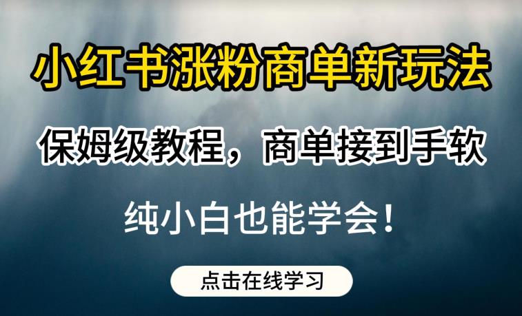 小红书涨粉商单新玩法，保姆级教程，商单接到手软，纯小白也能学会【揭秘】-知创网