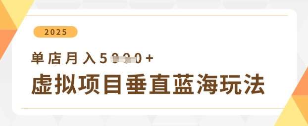 虚拟项目垂直玩法，实现单店月入5k+-知创网